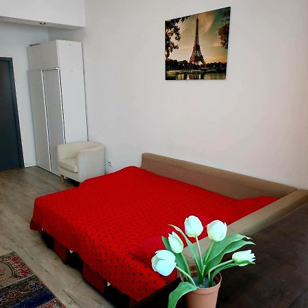 Garsoniera Centrul Bucurestiului Apartment Екстериор снимка