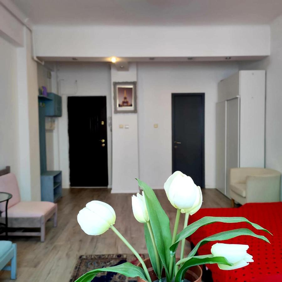 Garsoniera Centrul Bucurestiului Apartment Екстериор снимка